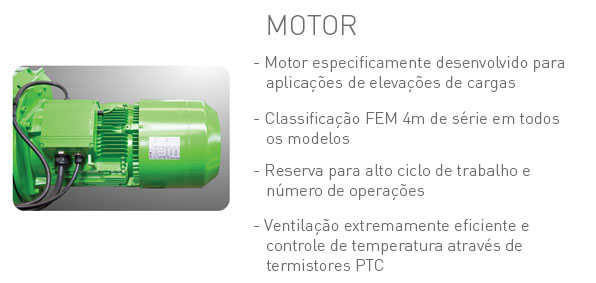 Motor
