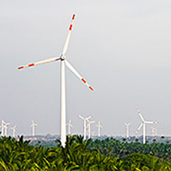 Turbinas eÃ³licas entre palmas. A Stahl se antecipa ao futuro, buscando soluÃ§Ãµes para este tipo de produÃ§Ã£o de energia cada vez mais presente em diversos paÃ­ses.